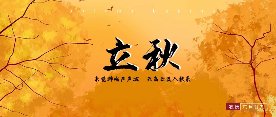 Liqiu - Clear sunshine shining through green branches, unaware of the arrival of autumn